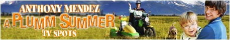 A PLUMM SUMMER: CLICK FOR AUDIO